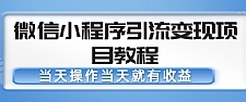 微信小程序引流变现项目教程 当天操作当天就有收益，变现不再是难事